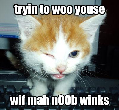tryin-to-woo-youse-wif-mah-n00b-winks.jpg