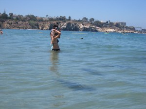 Leopard Sharks La Jolla Cove