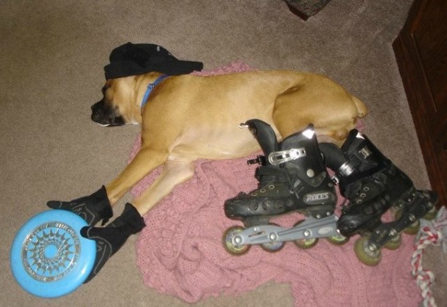 top_10_hobbies_extreme_sports